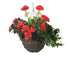 Artificial Red Azalea and Geranium Display in a 10" Round Willow Hanging Basket